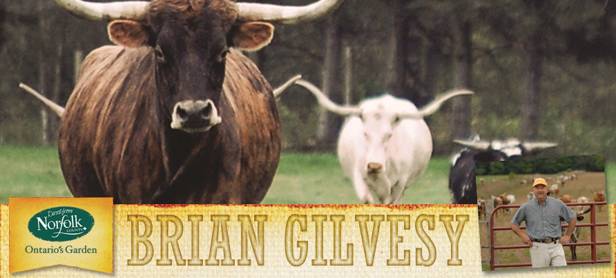 Bryan & Cathy Gilvesy – Y U Ranch
