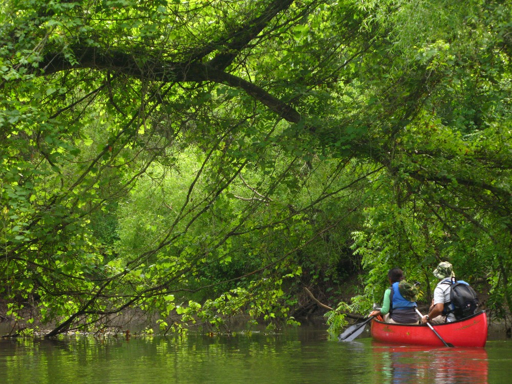 Canoe and River Kayak Routes Norfolk County Tourism